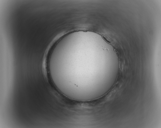 X0000102300244200808081550