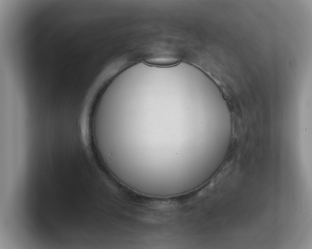 X0000102300245200808081550