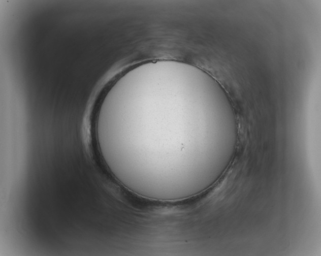 X0000102300246200808081550