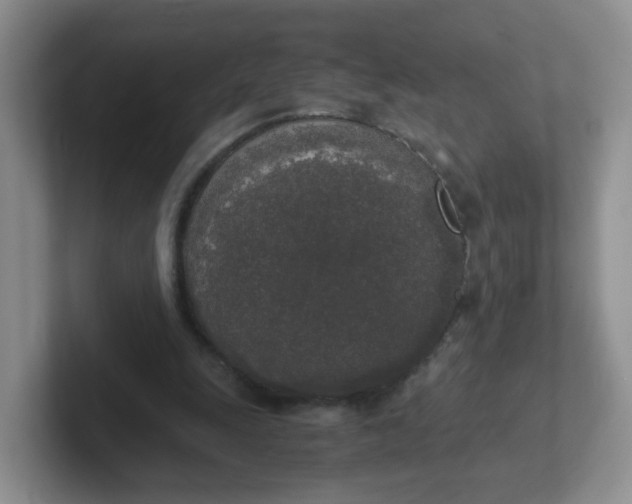 X0000102300247200808081550