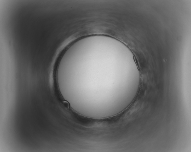 X0000102300248200808081550