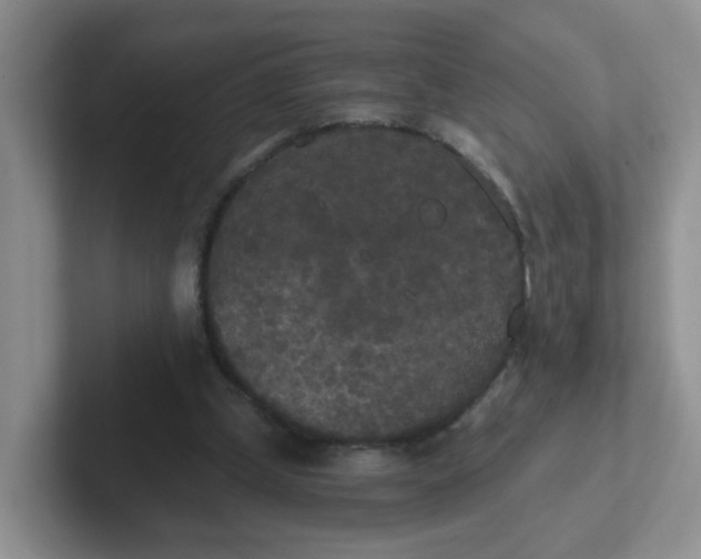 X0000102300249200808081550