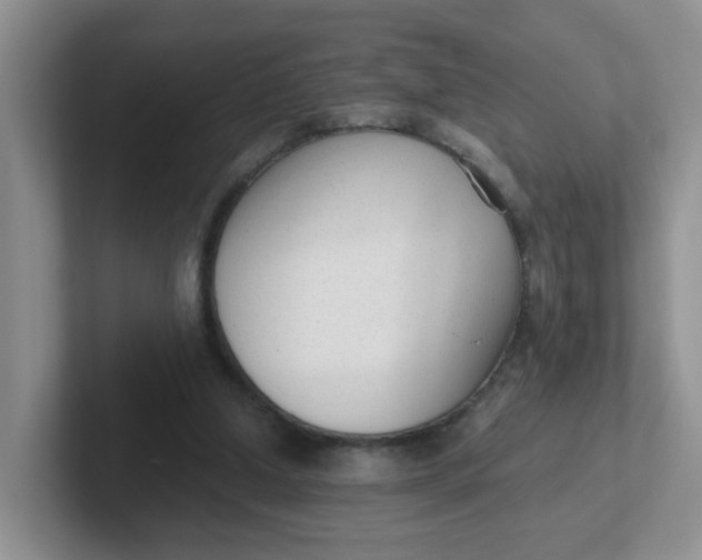 X0000102300250200808081550