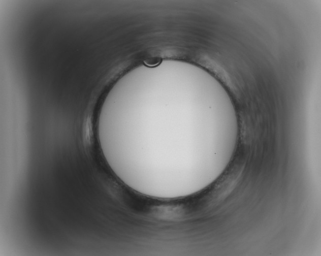 X0000102300251200808081550