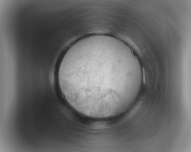 X0000102300252200808081550