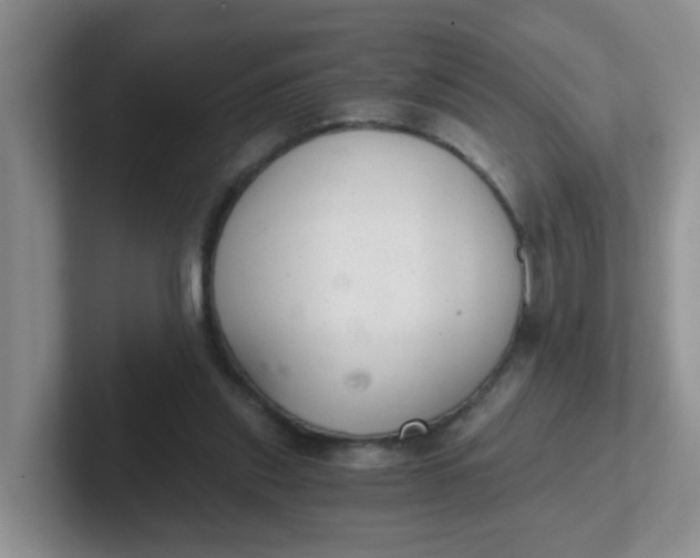 X0000102300253200808081550