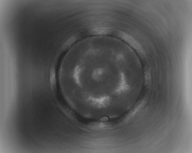 X0000102300254200808081550