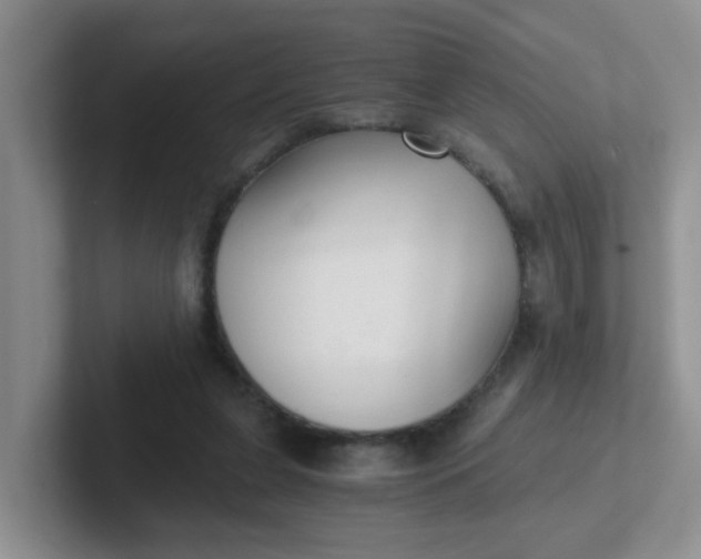 X0000102300255200808081550