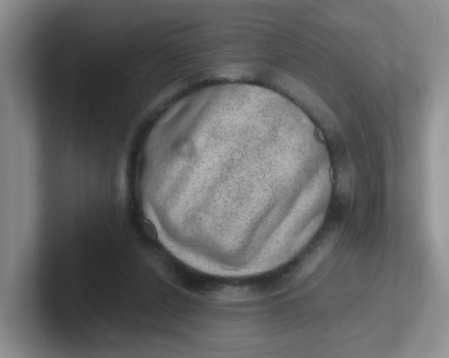 X0000102300256200808081550