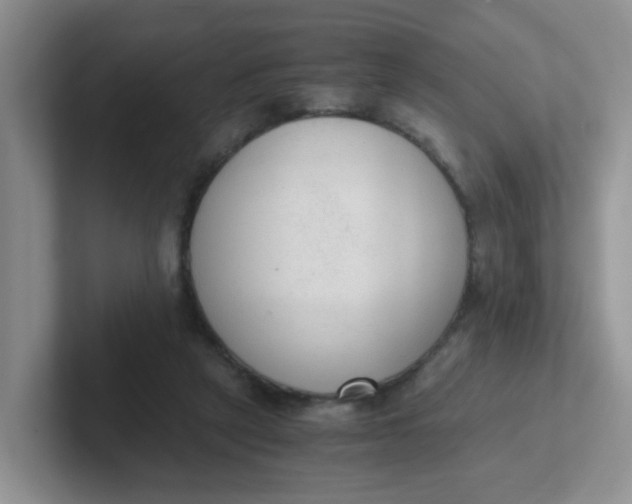 X0000102300257200808081550