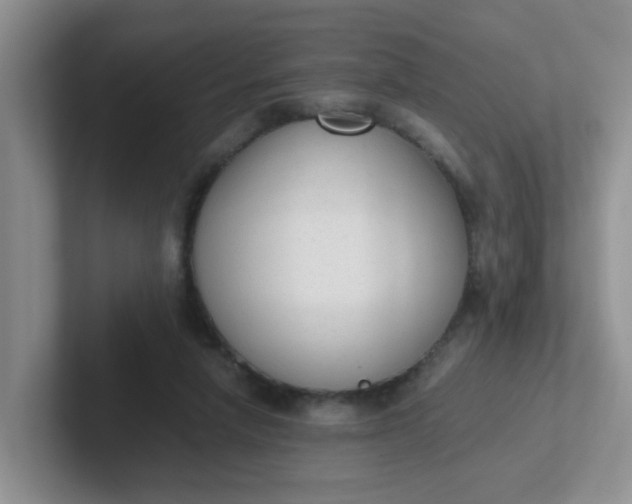 X0000102300258200808081550