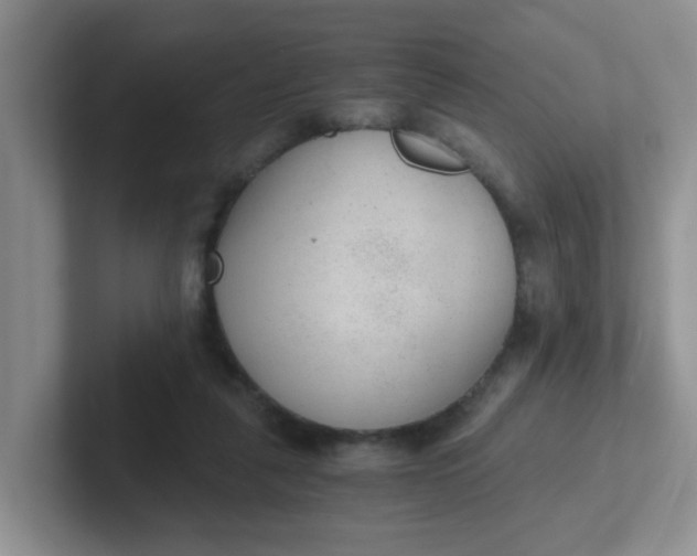 X0000102300259200808081550