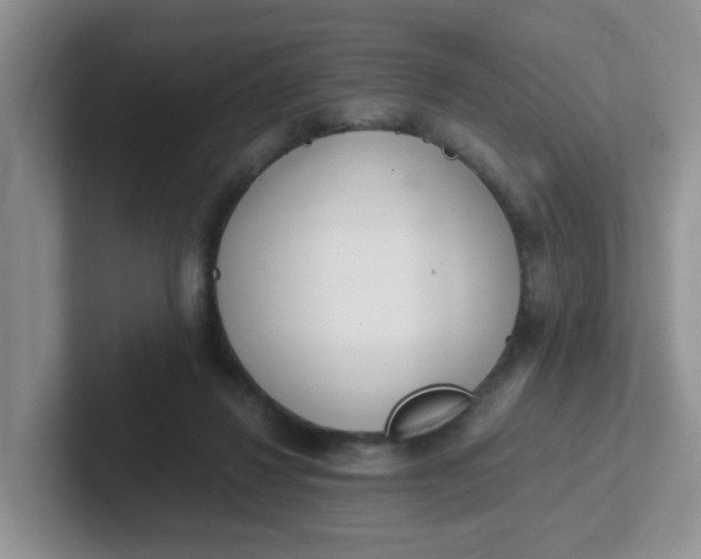 X0000102300260200808081550