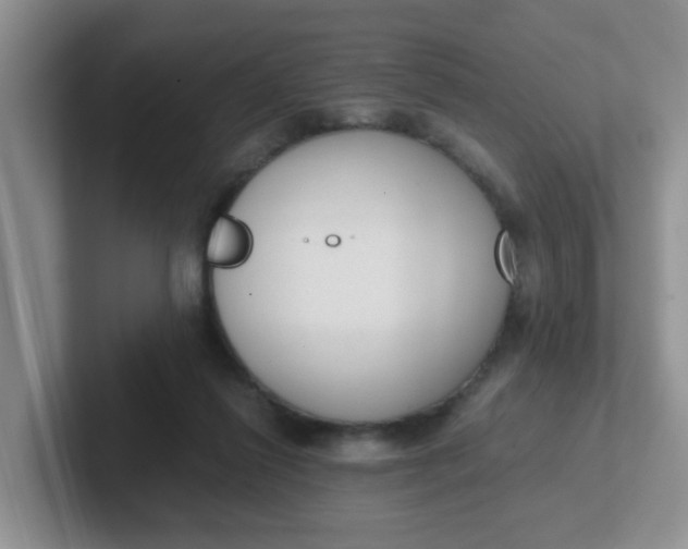 X0000102300262200808081550