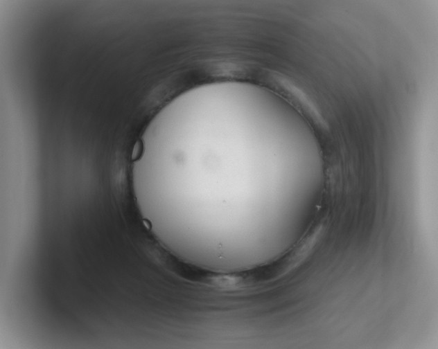 X0000102300265200808081550