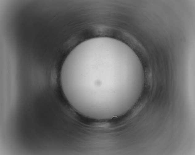 X0000102300266200808081551