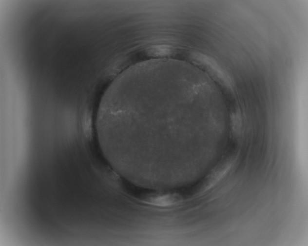 X0000102300267200808081551