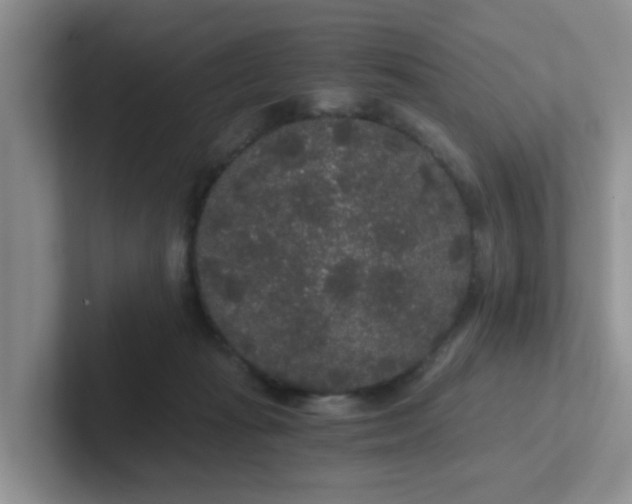 X0000102300269200808081551
