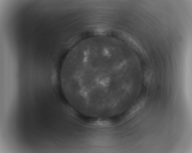 X0000102300270200808081551