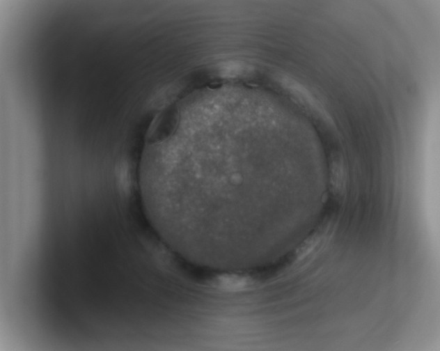 X0000102300272200808081551