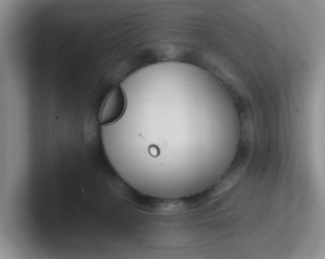 X0000102300274200808081551
