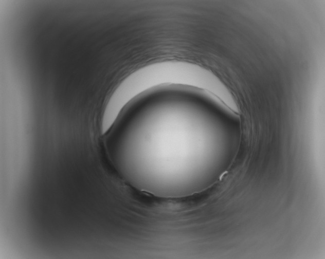 X0000102300276200808081551