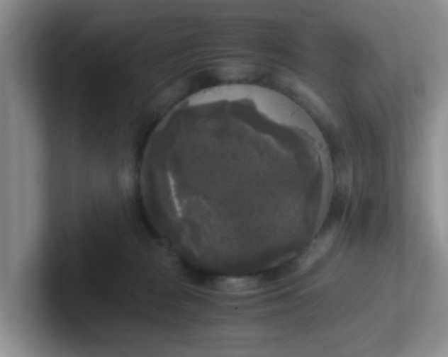 X0000102300277200808081551