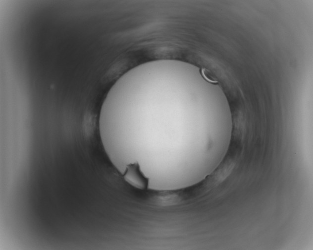 X0000102300278200808081551