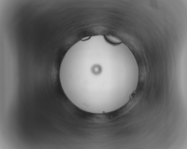 X0000102300279200808081551