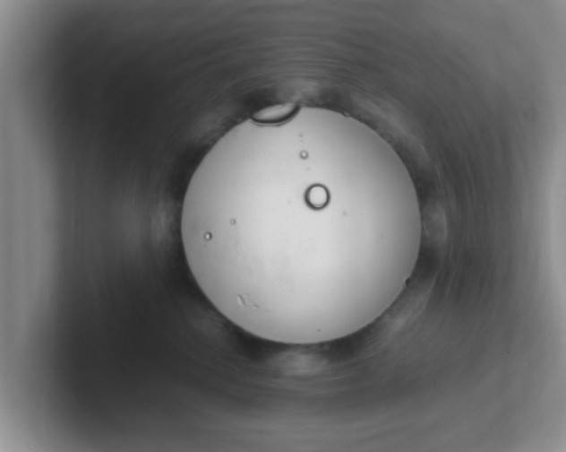 X0000102300280200808081551