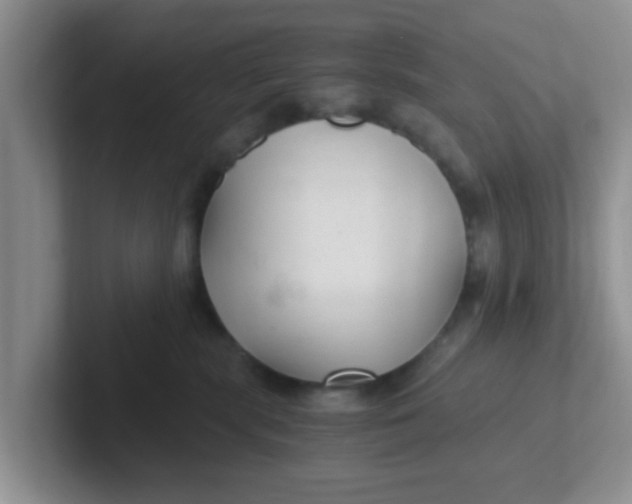 X0000102300283200808081551