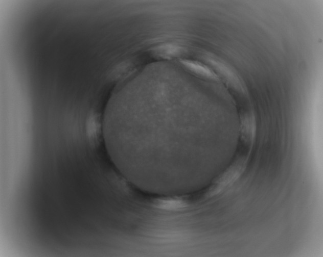 X0000102300284200808081551