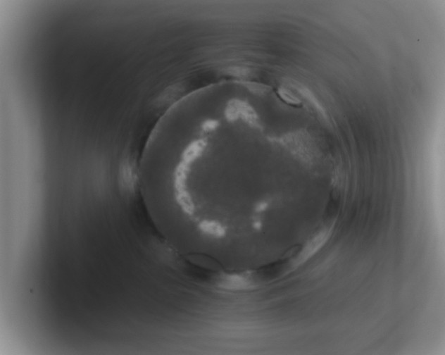 X0000102300285200808081551