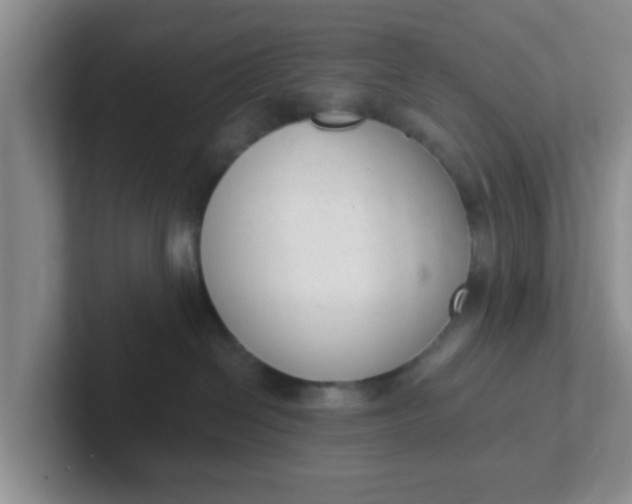 X0000102300286200808081551