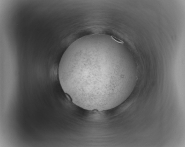X0000102300288200808081551