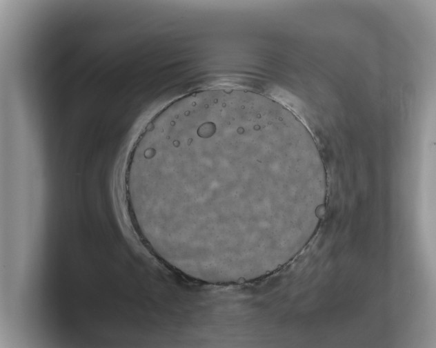 X0000102300289200808081550