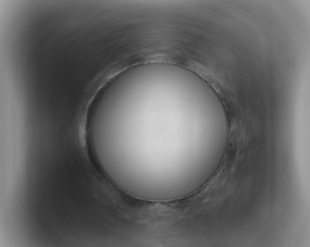 X0000102300290200808081550