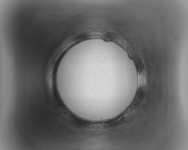 X0000102300291200808081550