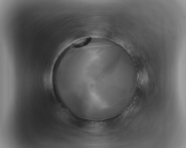 X0000102300292200808081550