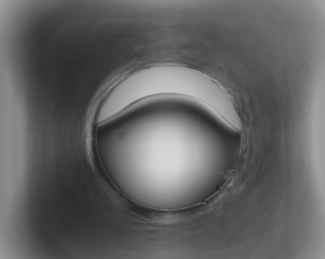 X0000102300293200808081550