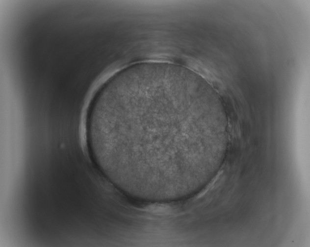 X0000102300294200808081550