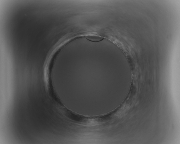 X0000102300295200808081550