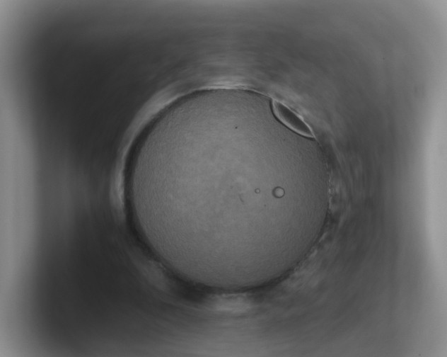 X0000102300296200808081550