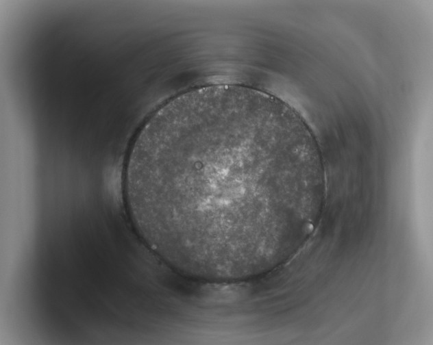 X0000102300297200808081550