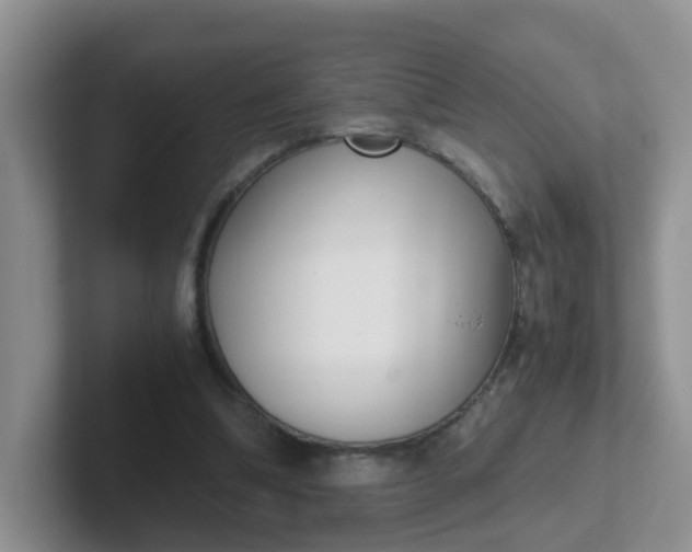 X0000102300298200808081550