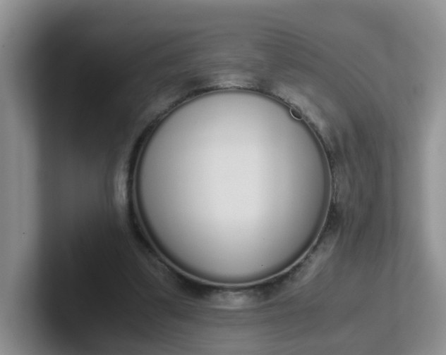 X0000102300299200808081550