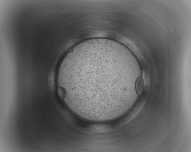 X0000102300300200808081550