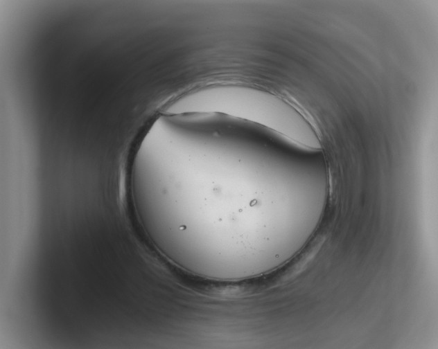 X0000102300301200808081550