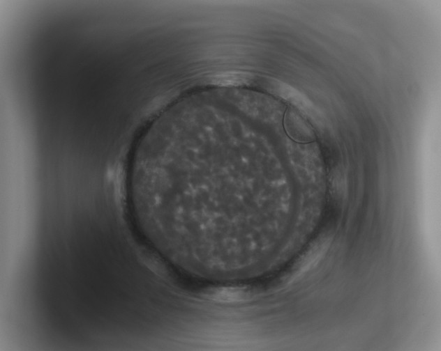 X0000102300303200808081550