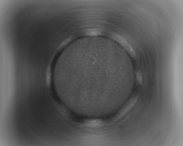 X0000102300304200808081550